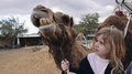 Child And Mother Beside Ruminating Camel