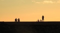 2 Skateboarders And A Bicyclist Silhouette At Sunset In Honolulu On The