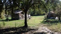 View Of Peaceful Garden With Apple Tree And Hay Barn