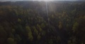 4k Spheric Aerial Pan Top View Of Green Treetops Northern Woodland Woodworking