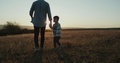Amazing Sunset Small Three Years Boy Holding Hands Of His Dad And Walking