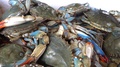 Close Up Heap Of Blue Crabs For Sale