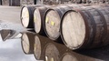 Four Whiskey Casks Outside Scottish Distillery With Reflection In Pool Of Water