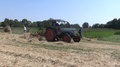 At Hayfestival Haymaking With Historically Equipment