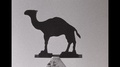 Super 8 - Usa - Camel Metal Statue At The Hi Jolly Tomb In Arizona