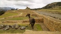 Ingapirca Ruins, Cañar Province, Near Andes Mountains. Ecuador's Largest