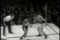 New York City Vs Chicago 1960 Golden Gloves With Cassius Clay Muhammad Ali