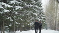 Man And Woman Walking In Winter Park