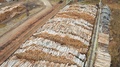 Aerial View - A Large Warehouse Of Tree Trunks In The Logging Industry