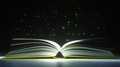 Imagination Caption Made Of Glowing Letters From The Open Book. 3d Animation