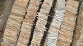 Aerial Survey Of Wood Processing