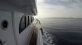Travel And Tourism. Marine Yacht Ship Sailing On The Sunny Sea, Dynamic Filming
