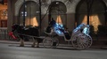 Horse And Cart In A Modern Large City In America At Night