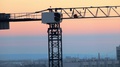Industrial. A Construction Site. Hoisting Cranes Working. Rosy Beautiful Sunset
