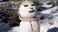 Snowman Pull With Scarf