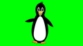 Penguin Funny Mascot Cartoon Dancing On Green Screen, Animated Bird Face, Cute