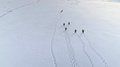 Funny Gentoo Penguin Walk Snow Land Aerial Back