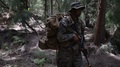 Armed U.S. Marine Conducts Jungle Patrol
