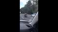 Florida Motorcyclist Uses His Feet To Steer While On Motorway