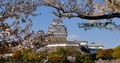 Himeji Castle With Cherry Blossom Festival, Kobe, Japan, 18.2.2000 During Spring