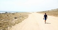 Aerial Forward: Man Walking On The Dusty Road In Oranjestad Aruba In Oranjestad,