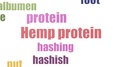 Hemp Protein Word Cloud Animated Isolated On White
