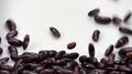 Kidney Bean On White Background Falling From Top And Filling Up Frame. Slow M