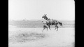 1910s: United States: Man Rides Wild Horse. Man Chases Horse. Man Breaks In