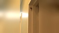 Australian Resident Confronts Huge Spider In His Home