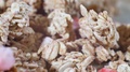 Mixed Grains & Dried Strawberry Almond Rolled Oats, Extreme Closeup