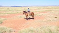 Rancher On A Brown Horse, Changes Direction And Rides In The Wild West