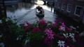 Upswinging Pan Shot Showing A Tourist Boat Passing Under A Flower Covered