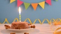 Happy Birthday Cake For Dog From Wet Food And Treats With Candle On Blue Party