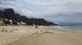 People And Dogs Walk On Camp's Bay Beach Under Cloud-Covered Hills.