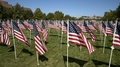 Walking Through Rows Of American Flags Blowing In The Wind