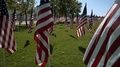 Walking Through Rows Of American Flags In Park