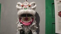 White Lion Dance Chinese New Year Closer Look