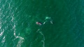 Aerial View Of A Flyboard Surfer Getting His Balance And Flying A Few Feet
