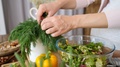 Pregnant Woman Adding Fresh Herbs To Healthy Vegan Salad Cooking On Kitchen.