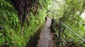 First Person View Of Caldeirao Verde Footpath In Santana, Madeira Island