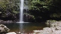 Tilting Caldeirao Verde Waterfall At Santana, Madeira Island, Portugal