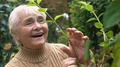Happy Female Pensioner Touching Green Plant Leaves Outdoors, Gardening Hobby