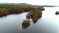 Medium Aerial Flight Encircling A Loon's Nesting Island In Silver Lake