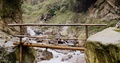 Three Tourists Are Passing A Small Wooden Bridge In The Wild.