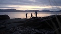 A Family Walking Along The Shore During Sunset With Their Border Collies