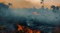 Handheld Shot Of Fires Burning In A Field Near The Amazon Rainforest In