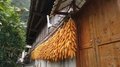 Corn Hanging For Drying Along Facade Of Traditional Building, Guizhou,