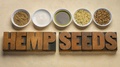 Hemp Seed Superfood Products (Seeds, Hearts, Protein Powder, Milk, Oil)