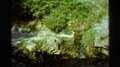 Arkansas Usa-1965: Lovely Shots Of The Stone Walls Covered In Moss And Leaves On