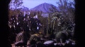 Texas-1958: Abundance Of Green Cacti And Other Desert Foliage Nestled In A Dry